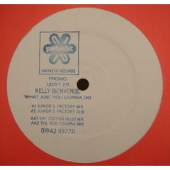 Kelly Bienvenue - Kelly Bienvenue - What Are You Gonna Do - Fantastic