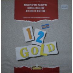 Marvin Gaye - Marvin Gaye - Sexual Healing - Old Gold