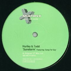 Hurley & Todd - Hurley & Todd - Sunstorm (Feat Song For Guy) - Multiply