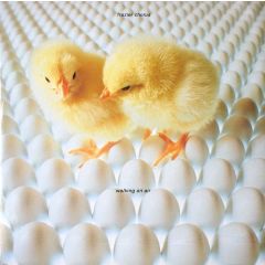 Frazier Chorus - Frazier Chorus - Walking On Air - Virgin