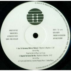 Rhythim Is Rhythim / Psyche - Rhythim Is Rhythim / Psyche - Beyond The Dance / Crackdown - Buzz Re-Press