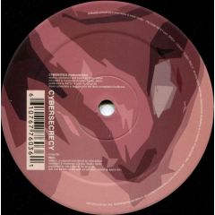 Cybersecrecy - Cybersecrecy - Feel / Cyberotica (Hotkunst Mix) - Flesh