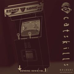 Bushy Vs Sonic Boo - Bushy Vs Sonic Boo - Dumbing Down Vol.1 - Catskills