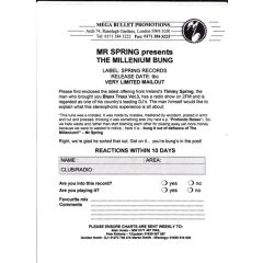Mr. Spring - Mr. Spring - The Millenium Bug - Spring Recordings