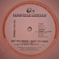 Stereo Fun Inc. - Stereo Fun Inc. - Got You Where I Want You Babe - Rams Horn