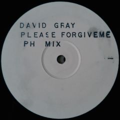 David Gray - David Gray - Please Forgive Me( Ph Mix) - Ih 101