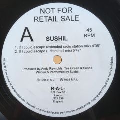 Sushil K. Dade - Sushil K. Dade - If I Could Escape - R.A.L
