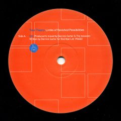 Tone Theory - Tone Theory - Limbo Of Vanished Possibilities - Plink Plonk