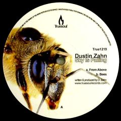 Dustin Zahn - Dustin Zahn - Sky Is Falling - Truesoul