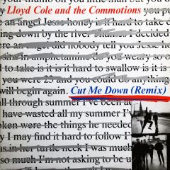 Lloyd And The Commotions - Lloyd And The Commotions - Cut Me Down (Remix) - Polydor