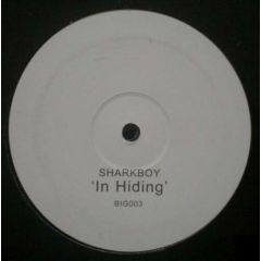 Sharkboy - Sharkboy - In Hiding - Big Records