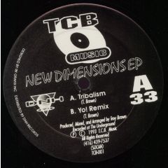 Troy Brown - Troy Brown - New Dimensions EP - TCB