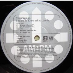 Terri Symon - Terri Symon - I Want To Know What Love Is - Am:Pm