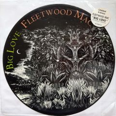 Fleetwood Mac - Fleetwood Mac - Big Love (Picture Disc) - Warner Bros. Records
