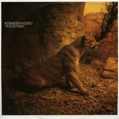 Kosheen - Kosheen - Hide U (Remixes) - Arista