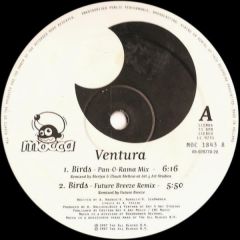 Ventura - Ventura - Birds - Mocca