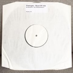 Watergate - Heart Of Asia (Remixes) - Positiva