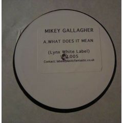 Mikey Gallagher - Mikey Gallagher - What Does It Mean - Lynx White Label
