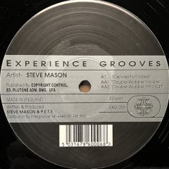 Steve Mason - Steve Mason - Conception Vessel - Experience 2000