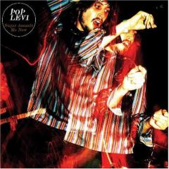 Pop Levi - Pop Levi - Sugar Assault Me Now - Counter Records