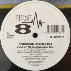 Paradise Orchestra - Paradise Orchestra - Colour Me - Pulse-8 Records