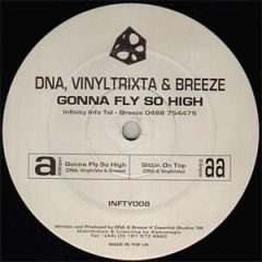 DNA , Vinyltrixta & DJ Breeze - DNA , Vinyltrixta & DJ Breeze - Gonna Fly So High - Infinity Recordings