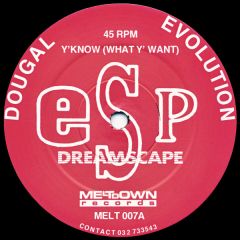 Dougal & Evolution / DJ Clarkee & DJ Phantasy - Dougal & Evolution / DJ Clarkee & DJ Phantasy - Y'Know (What Y' Want) / Near Miss - Meltdown Records