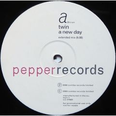 Twin  - Twin  - A New Day - Pepper Records