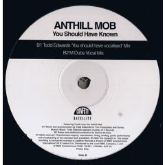 Anthill Mob - Anthill Mob - You Should Have Known - Confetti