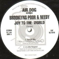 Brooklyns Poor & Needy - Brooklyns Poor & Needy - Joy To The World - Airdog