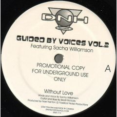 Noel Nanton Featuring Sacha Williamson - Noel Nanton Featuring Sacha Williamson - Guided By Voices Vol.2 - DNH Records