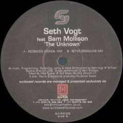 Seth Vogt Ft Sam Mollison - Seth Vogt Ft Sam Mollison - Unknown - Sunkissed