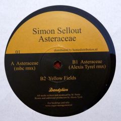 Simon Sellout - Simon Sellout - Asteraceae - Dandylion