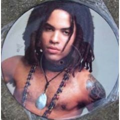 Lenny Kravitz - Lenny Kravitz - It Ain't Over 'Til It's Over (Picture Disc) - Virgin