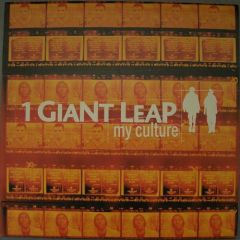 1 Giant Leap - 1 Giant Leap - My Culture - Palm