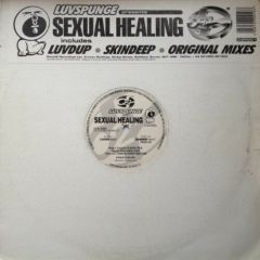 Luvspunge - Luvspunge - Sexual Healing - D2R