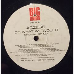 Aczess - Aczess - Do What We Would - Big Onion Records