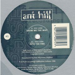 Ant Hill - Ant Hill - Show Me The Way / Into The Fire - PuSH Recordings