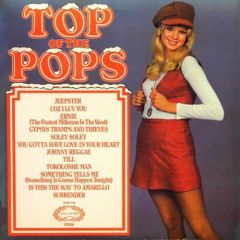 Various Artists - Various Artists - Top Of The Pops Vol. 21 - 	Hallmark Records