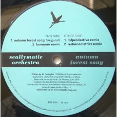 Scallymatic Orchestra - Scallymatic Orchestra - Autumn Forest Song - Flyin High