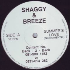 Shaggy & Breeze - Shaggy & Breeze - Summer's Love / Exposure - Artificial Insomnia Records