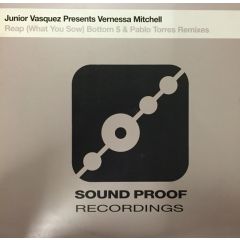 Junior Vasquez Ft V.Mitchell - Junior Vasquez Ft V.Mitchell - Reap (What You Sow) - Sound Proof