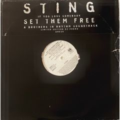 Sting - Sting - If You Love Somebody Set Them Free (A Brothers In Rhythm Soundtrack) - A&M Records