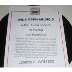 Audio Species - Audio Species - Falling - Wide Open Music