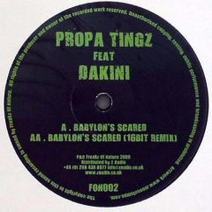 Propa Tingz Feat Dakini - Propa Tingz Feat Dakini - Babylon's Scared - Freakz Of Nature 2