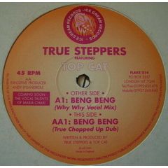 True Steppers Ft. Top Cat - True Steppers Ft. Top Cat - Beng Beng - Ice Cream