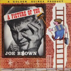  Joe Brown And The Bruvvers -  Joe Brown And The Bruvvers - A Picture Of You - Pye Golden Guinea