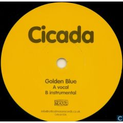 Cicada - Cicada - Golden Blue - Critical Mass