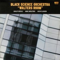 Black Science Orchestra - Black Science Orchestra - Walters Room - Junior Boys Own