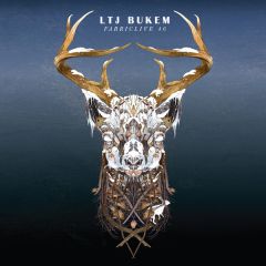 LTJ Bukem - LTJ Bukem - FabricLive 46 - Fabric